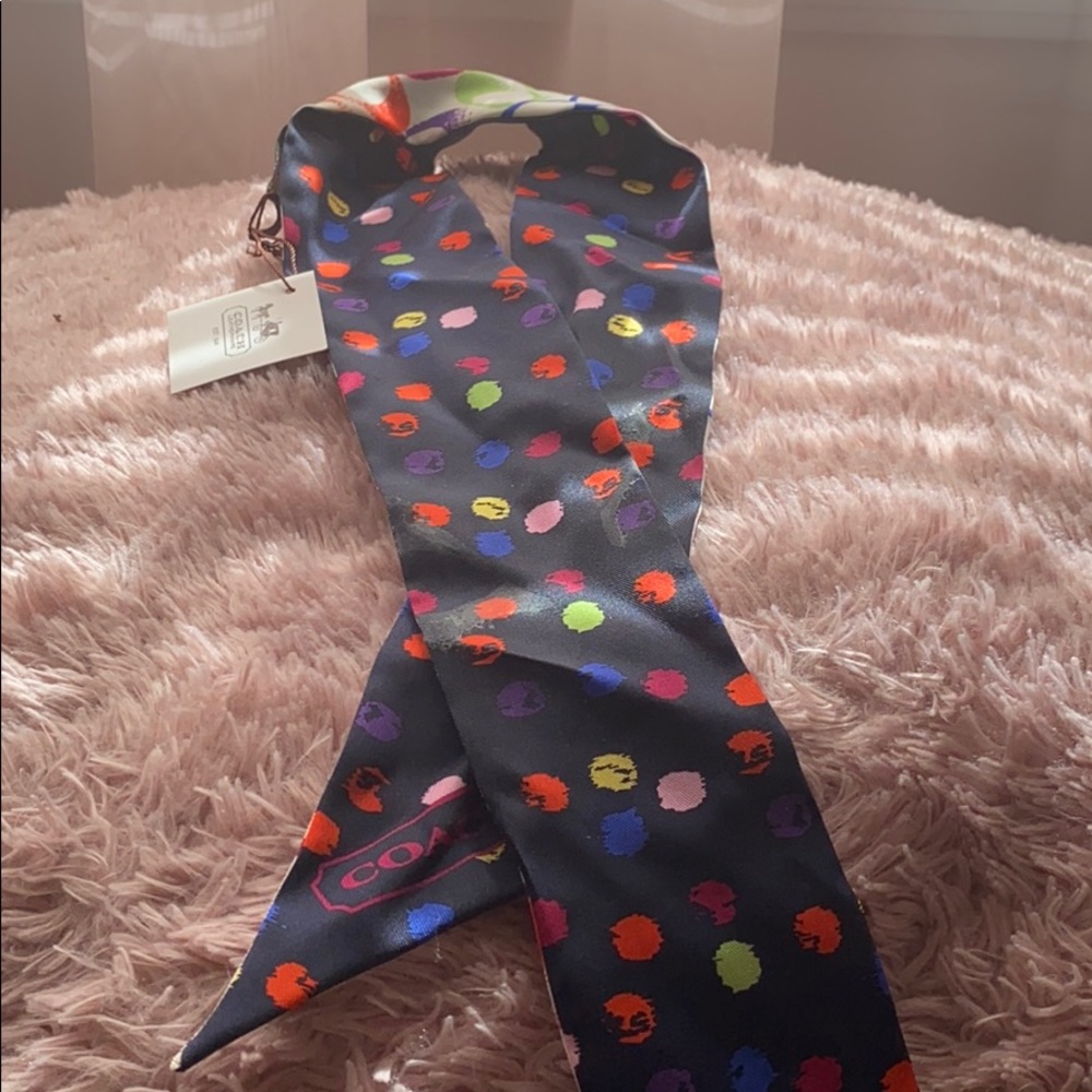 Coach hair accessory